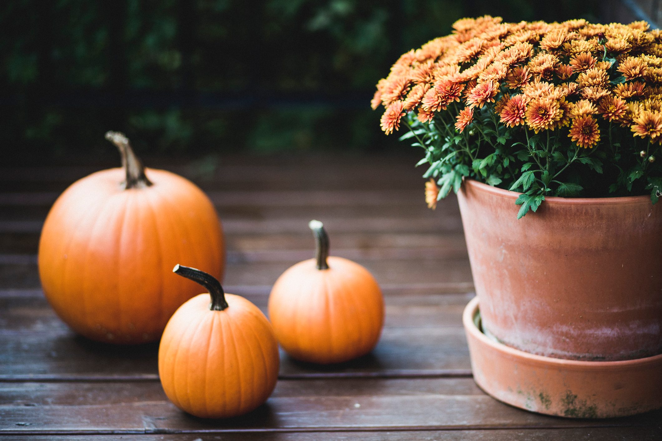 Pumpkin and orange flowers on a porch during Halloween