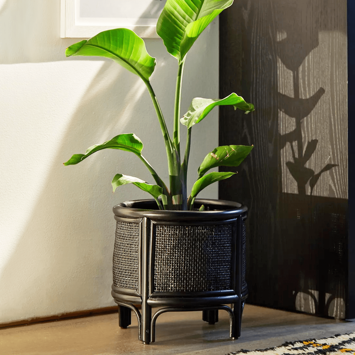 18 Best Indoor Planters - Stylish Pots for Indoor Plants