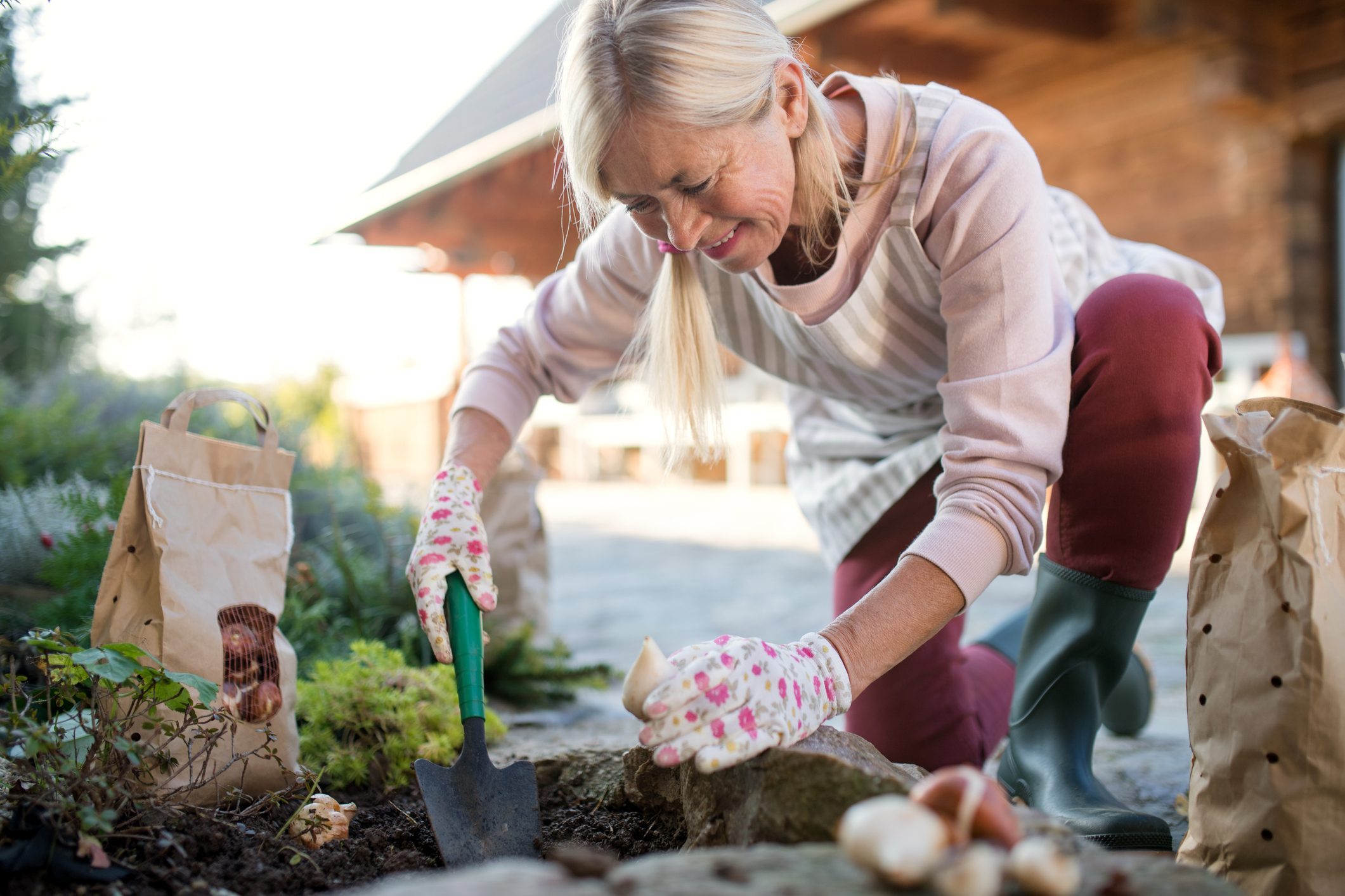 Senior Woman Planting Bulbs Outdoors In Autumn Garden Gardening Concept