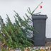 Here's When to Take Your Christmas Tree Down After the Holidays