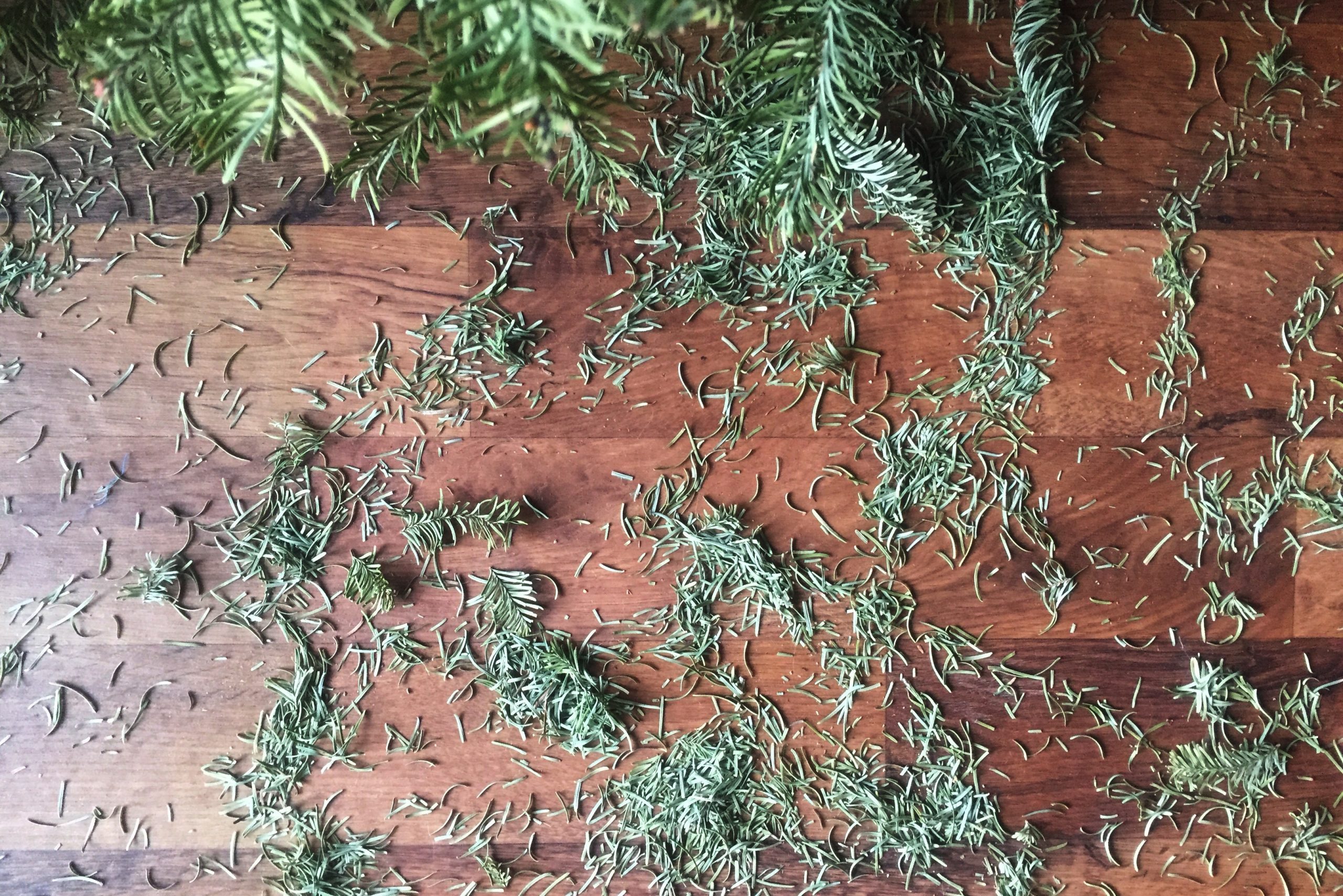 The Best Way to Clean up Christmas Tree Pine Needles