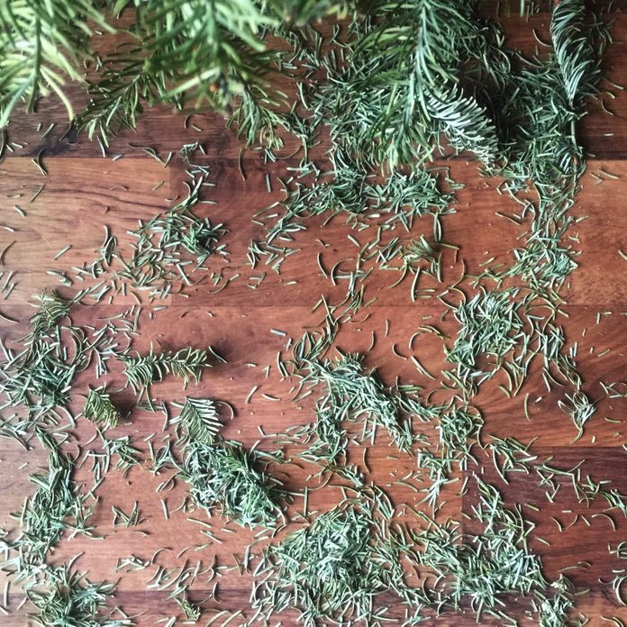 christmas tree needles on wood floor