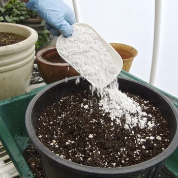 Making Hanging Basket Adding Perlite Private Greenhouse Oregon