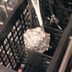 This Is Why You Should Put Aluminum Foil in Your Dishwasher