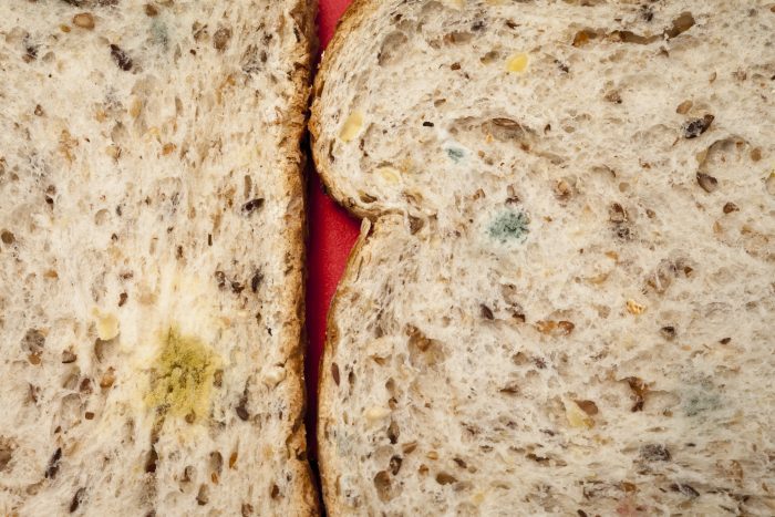 Why Picking Mold Off Bread And Eating The Rest Is Unsafe - Moldy