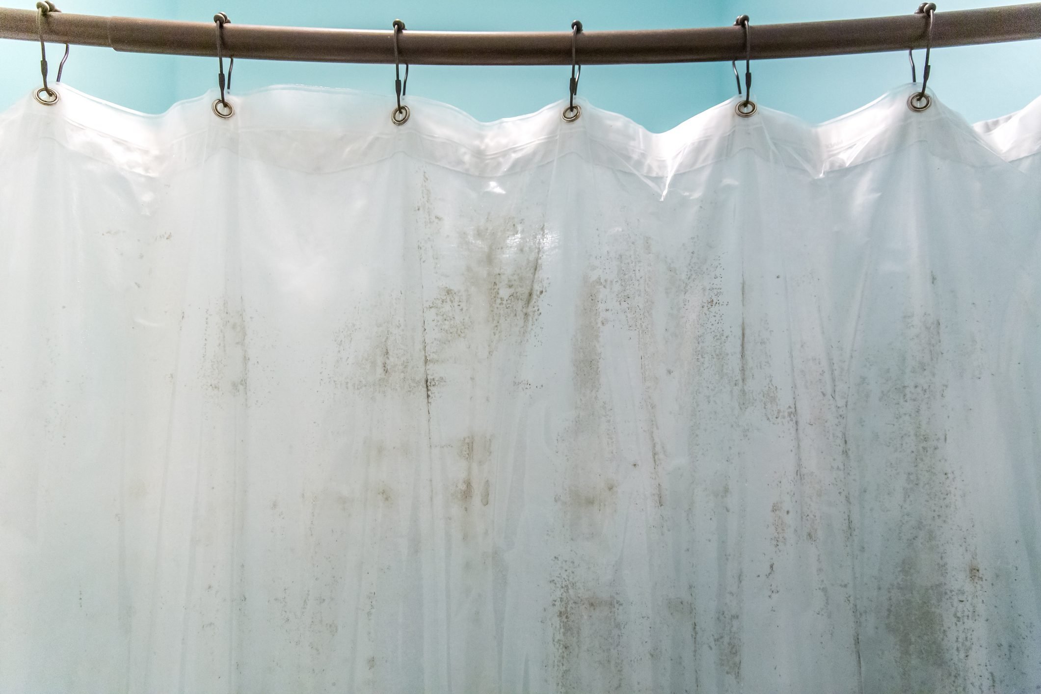 Best Shower Curtain Liners of 2024, All Tested By Our Editors