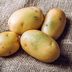 Can You Eat Green Potatoes and Are They Safe to Eat?