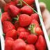 How to Pick the Juiciest Strawberries at the Store or on the Farm