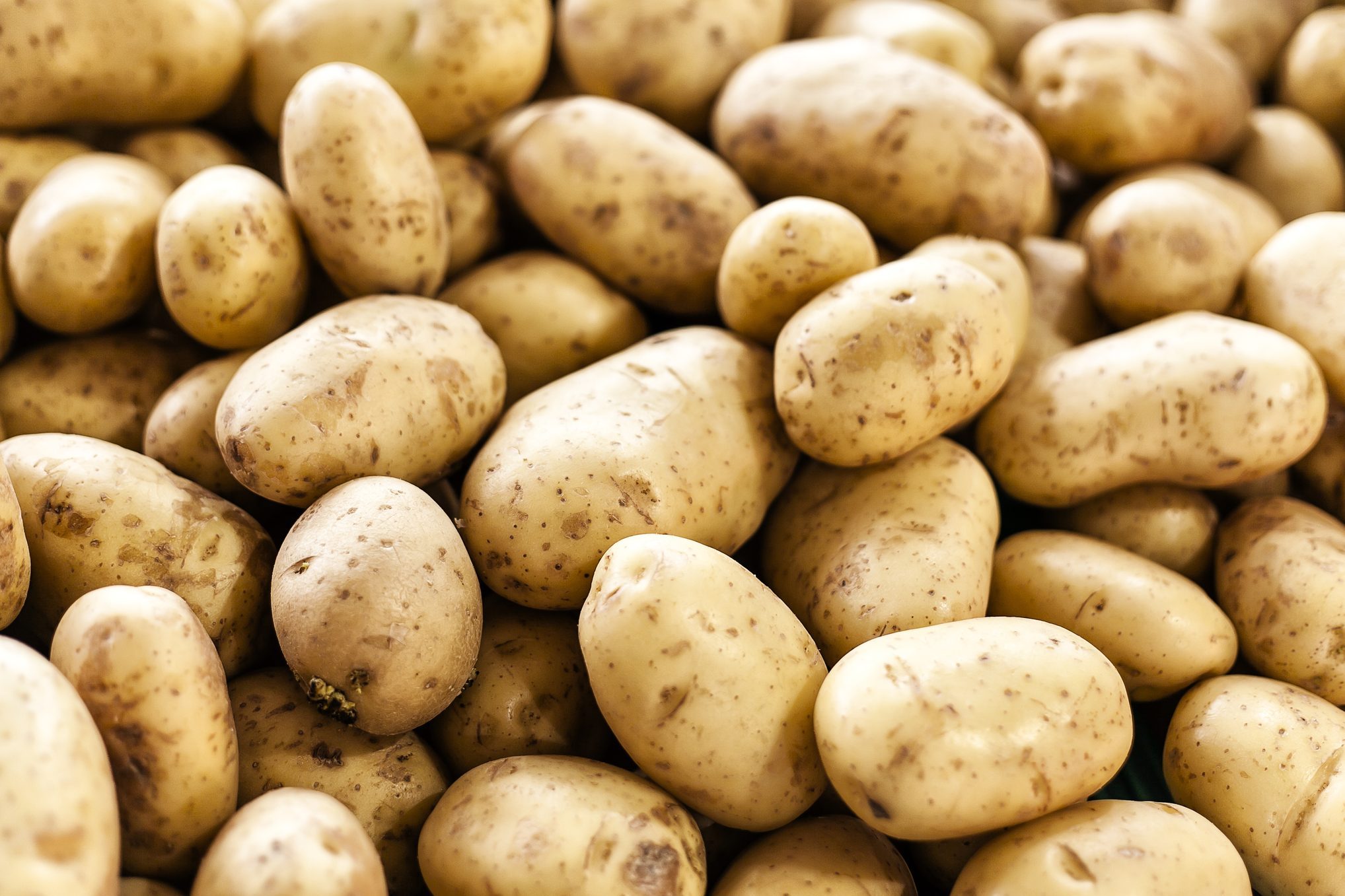 Can You Eat Raw Potatoes, or Do Potatoes Need to Be Fully Cooked?