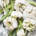 Can You Eat Sprouted Garlic?