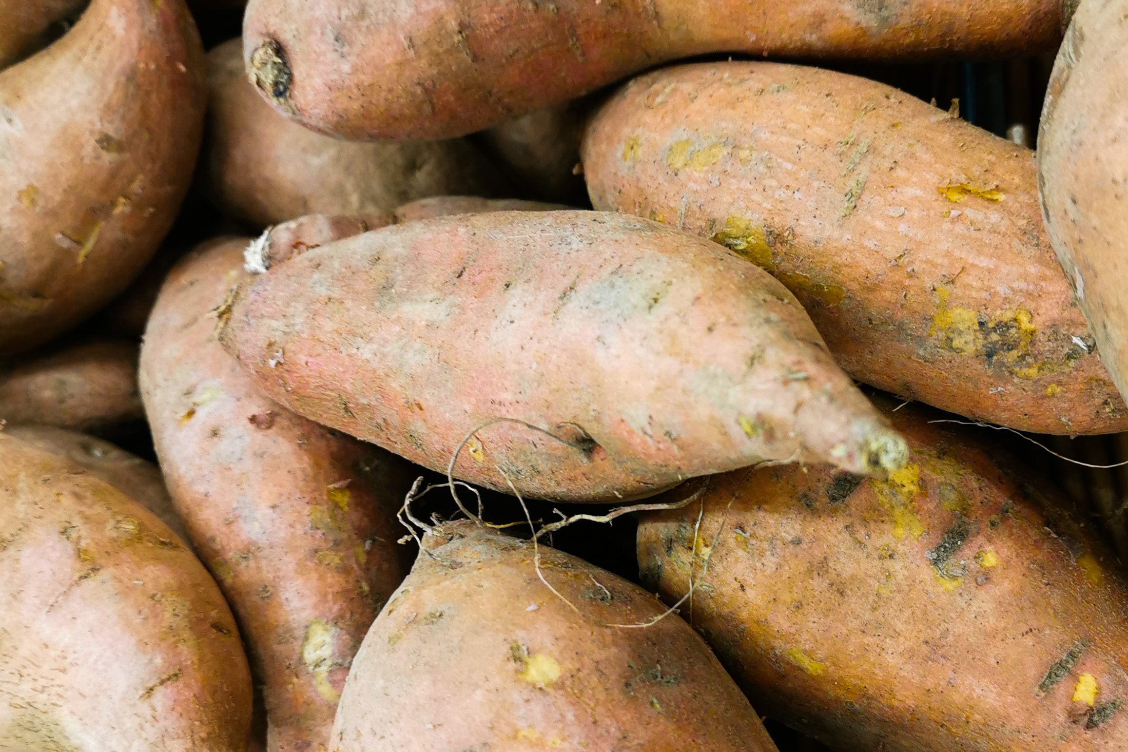 How To Tell If A Sweet Potato Is Bad? (And what the WHITE stuff means)