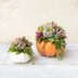 20 Pretty Pumpkin Decor Ideas for Fall