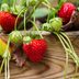 How to Grow Strawberries Inside and Out