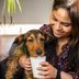 Is the Starbucks Puppuccino Safe for Dogs?