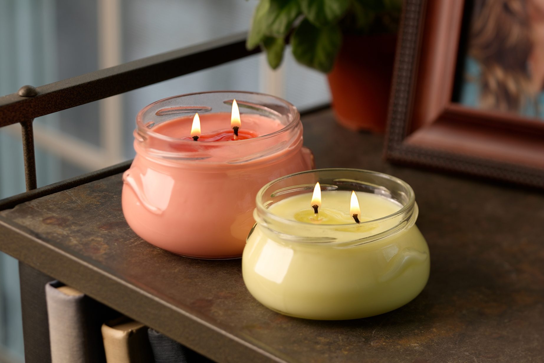 are soy candles safe for dogs
