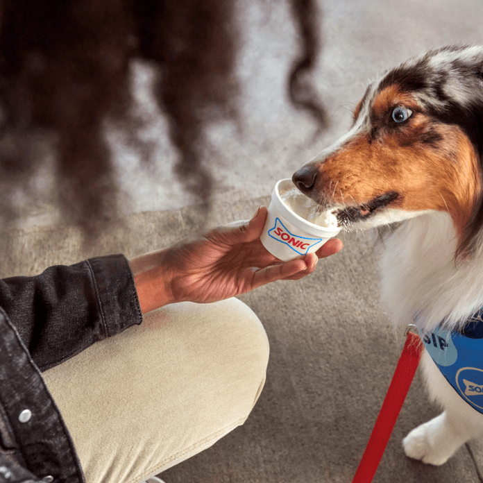 Sonic Dog Treats