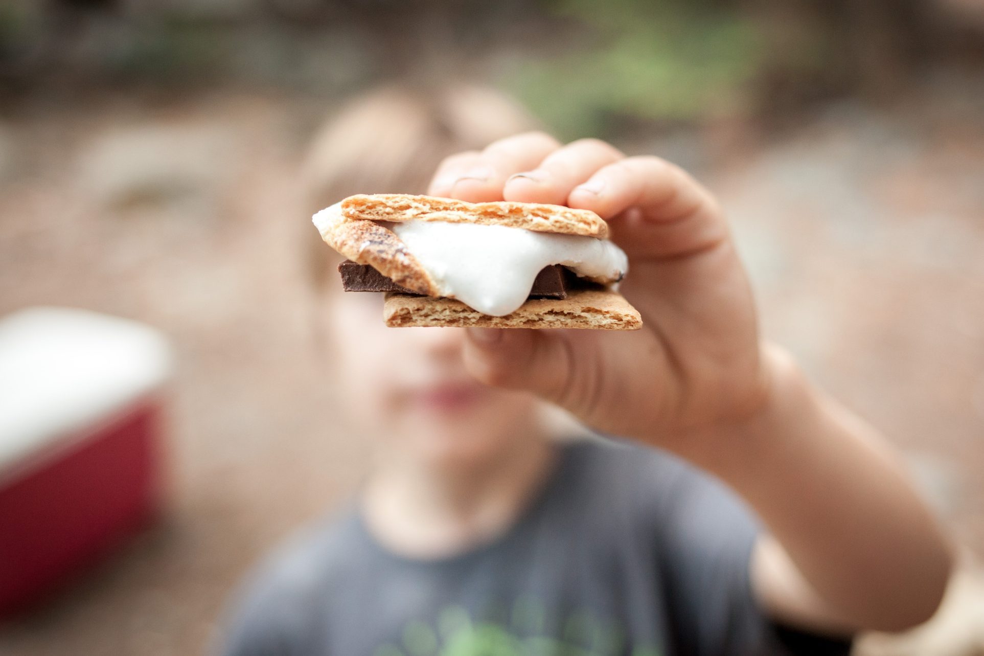 Boy holding a s'more