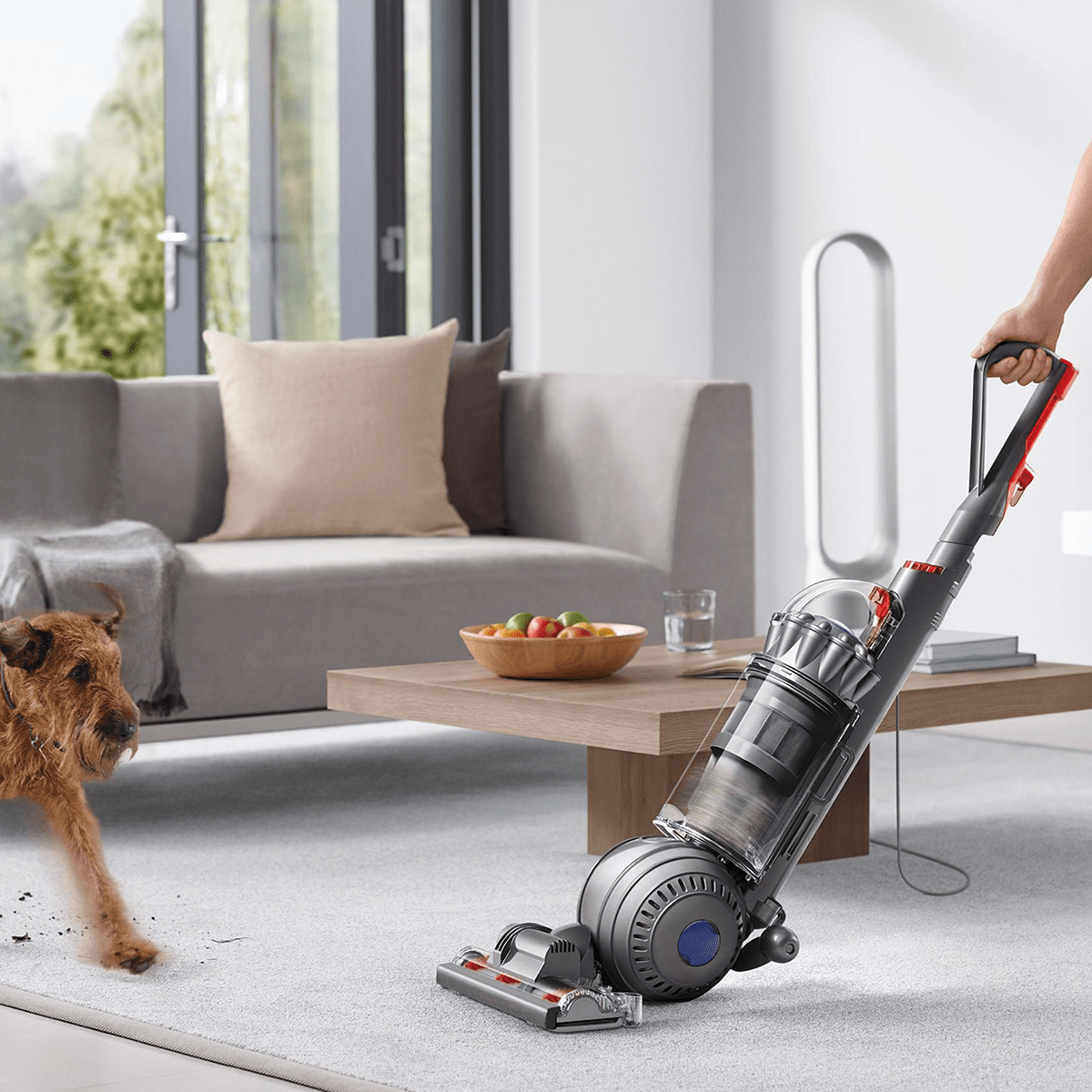 Dyson Ball Animal Vacuum