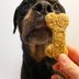 How to Make Homemade Chicken Dog Treats