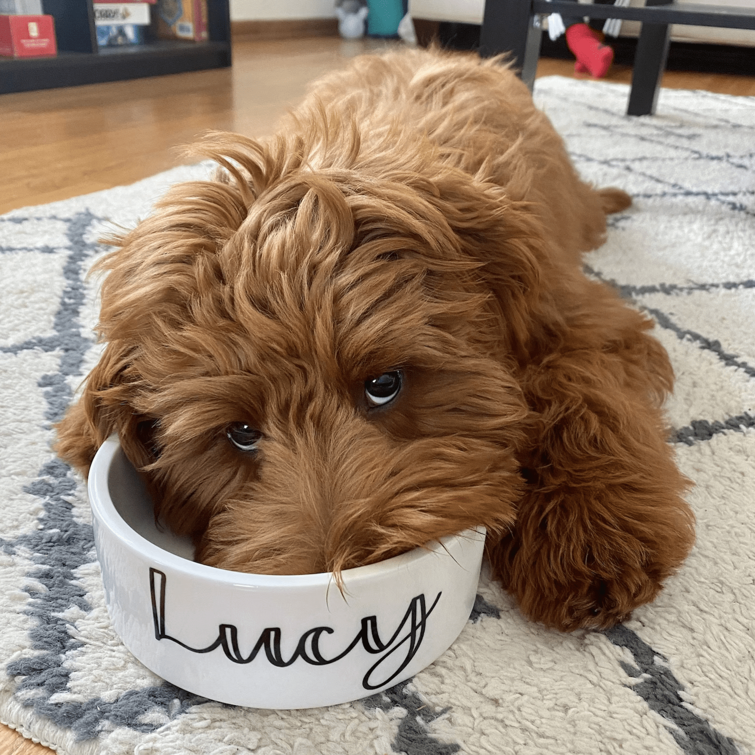 13 Best Custom And Personalized Pet Gifts Every Dog Owner Will Love - DJANGO