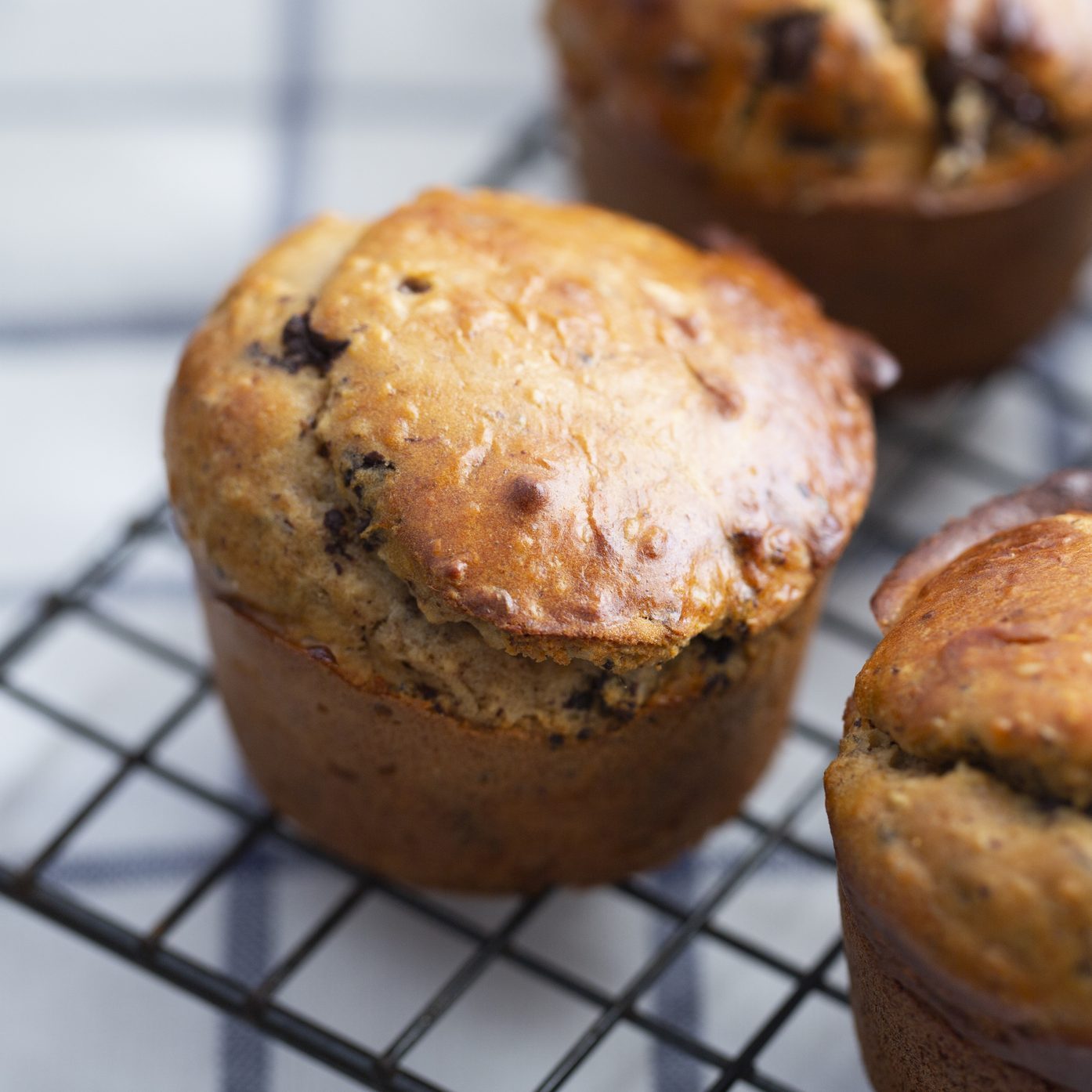 Low-Carb Protein Muffins