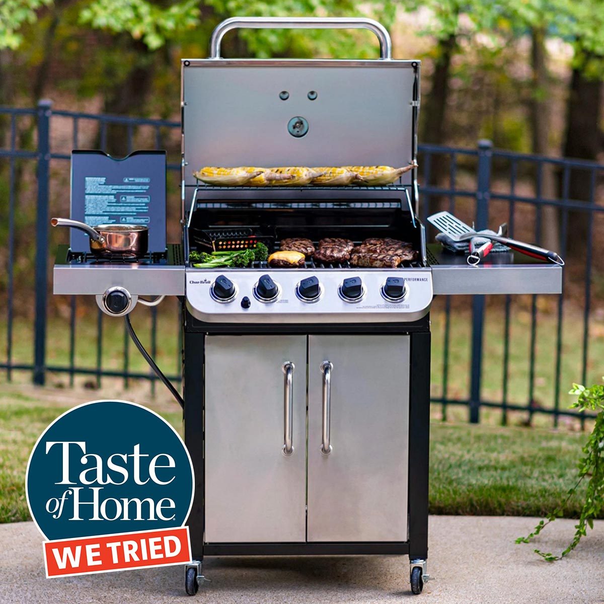 The 4 Best Portable Gas Grills of 2023, Tested & Reviewed