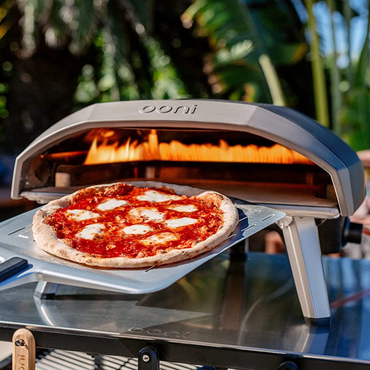 https://www.tasteofhome.com/wp-content/uploads/2023/04/The-6-Best-Pizza-Ovens-on-Amazon-for-a-Restaurant-Quality-Pie-Every-Time_FT_via-amazon.com_.jpg