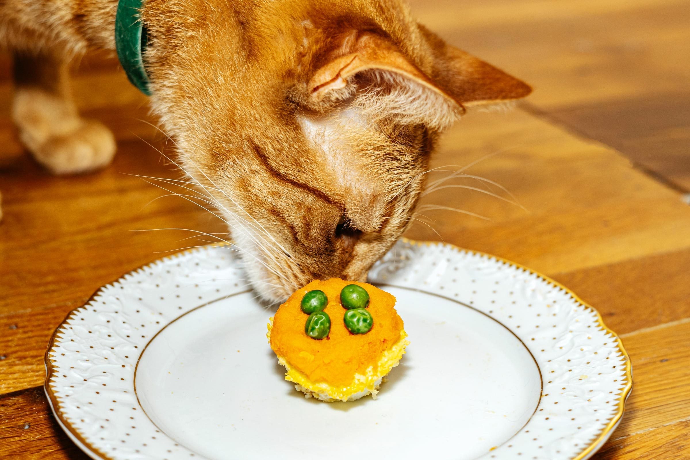 How to Make a Cat Birthday Cake