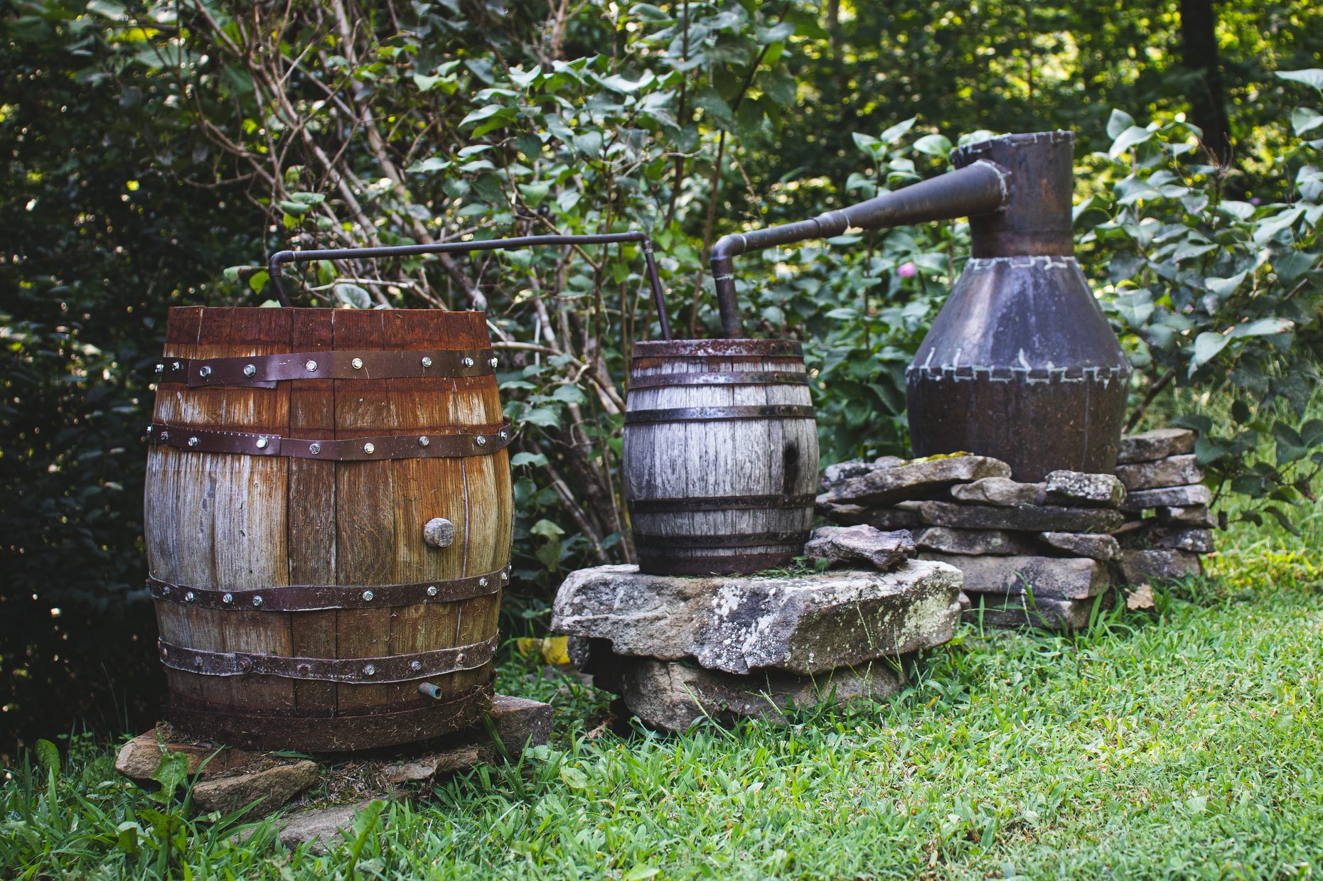Moonshine distillery in backyard