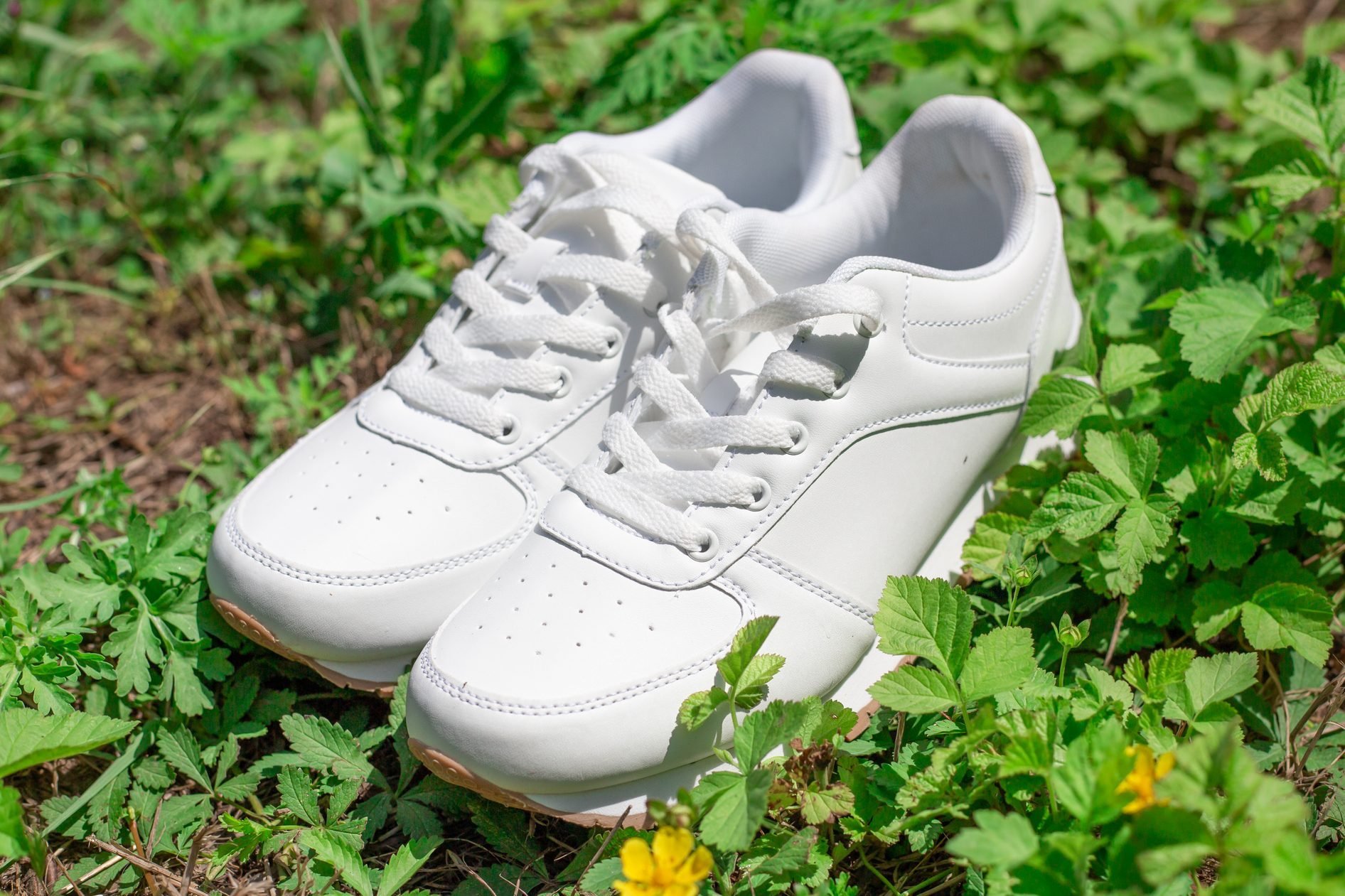 How To Clean White Sneakers 