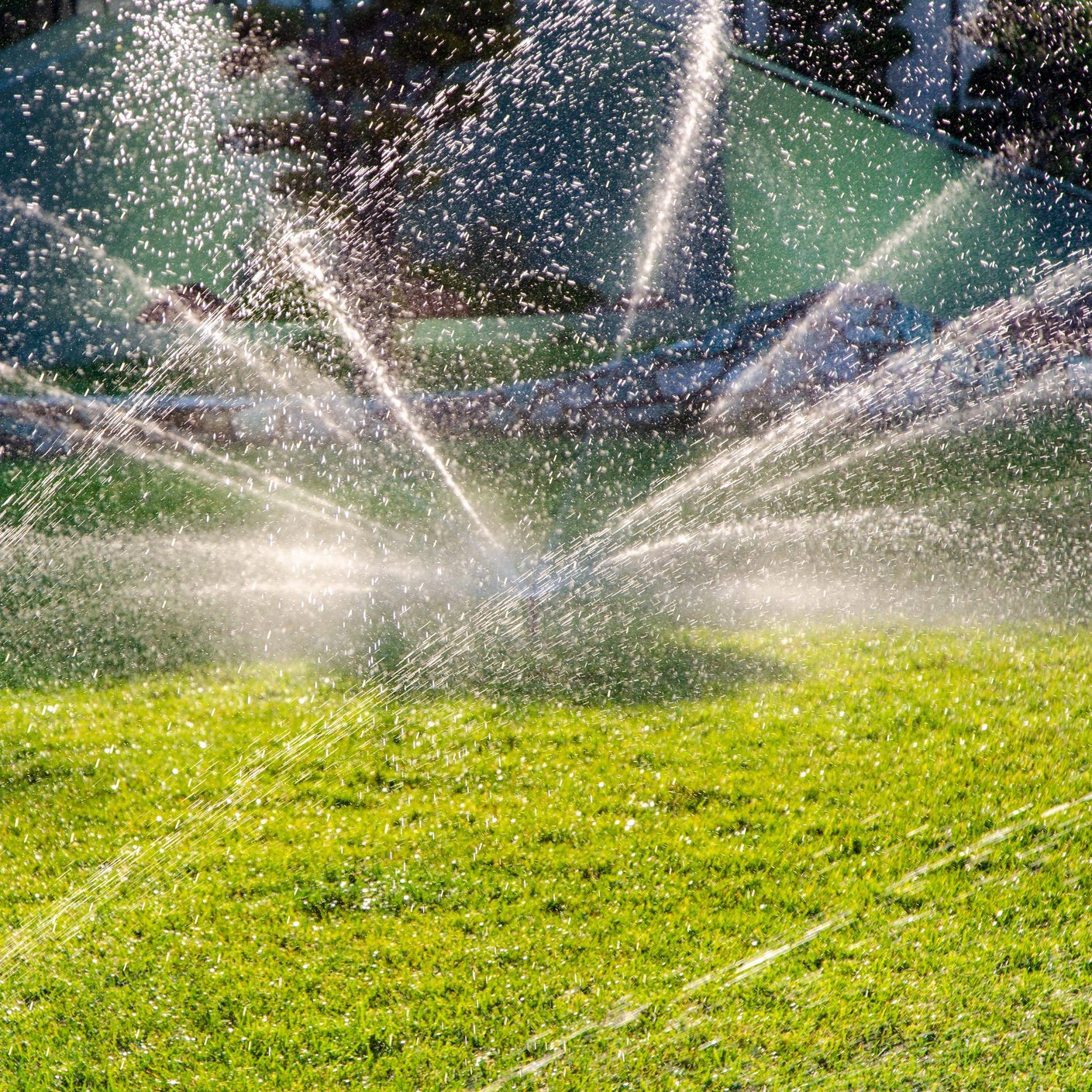 Sprinkler Spraying Lawn