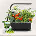 Farm Fresh Herbs Right in Your Kitchen—AeroGarden Smart Gardens Are More Than 50% Off
