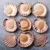 What Are Scallops and What Do They Taste Like?