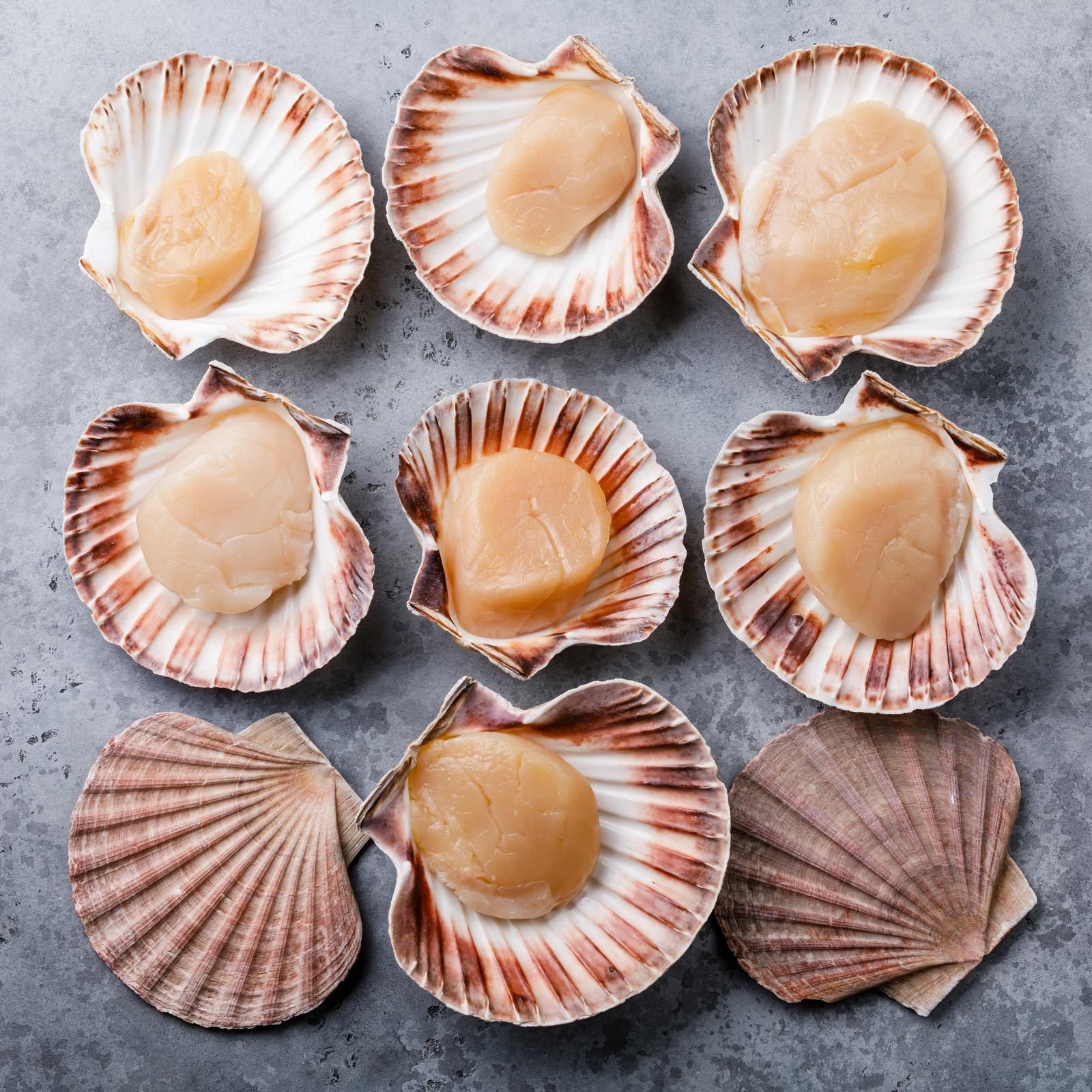 Scallops GettyImages 1132309937 ?w=1600