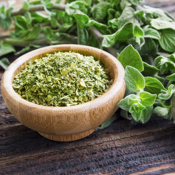 Fresh and dried oregano herb on wooden background