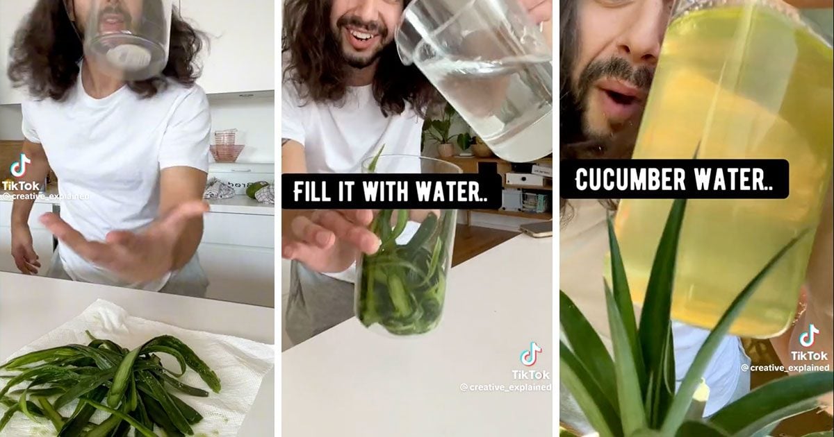 What to Do with Cucumber Peels | 2 Cucumber Hacks for Healthy Plants