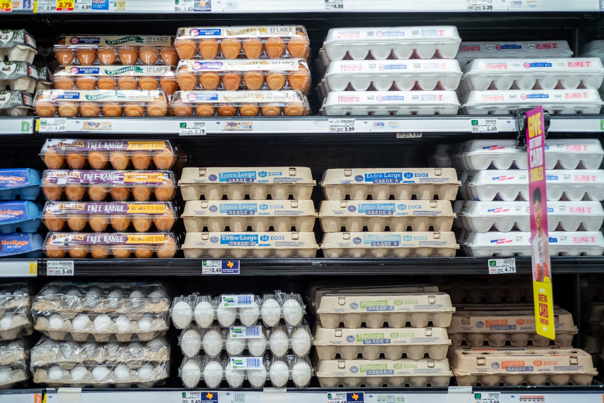 Cage-Free vs. Free-Range Eggs: How Are They Different?