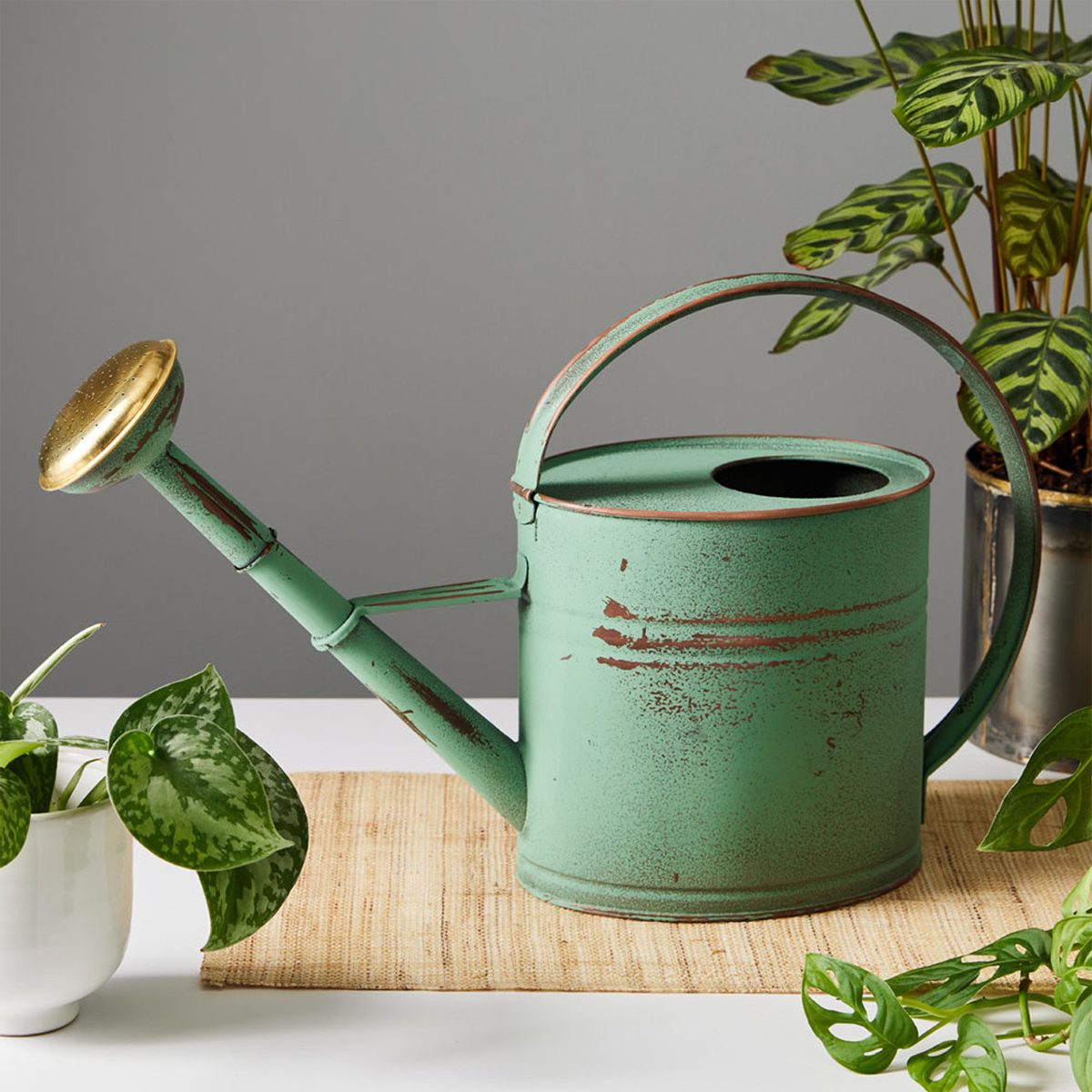 Watering Can