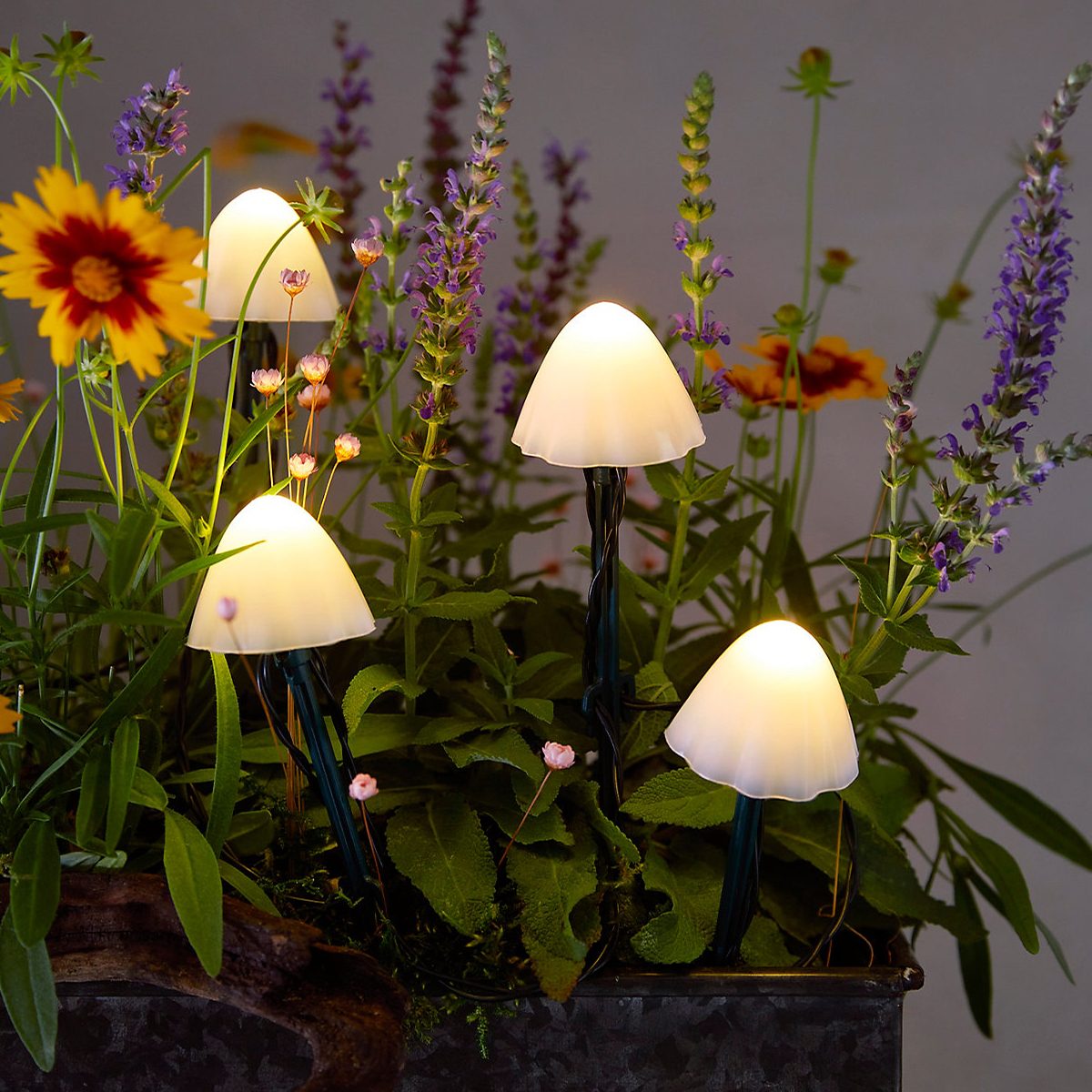 Mushroom Solar Lights