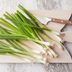 How to Store Green Onions