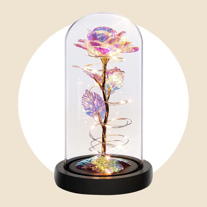 Rose In A Glass Dome