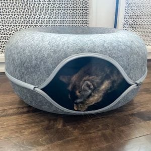 Peekaboo Cat Cave