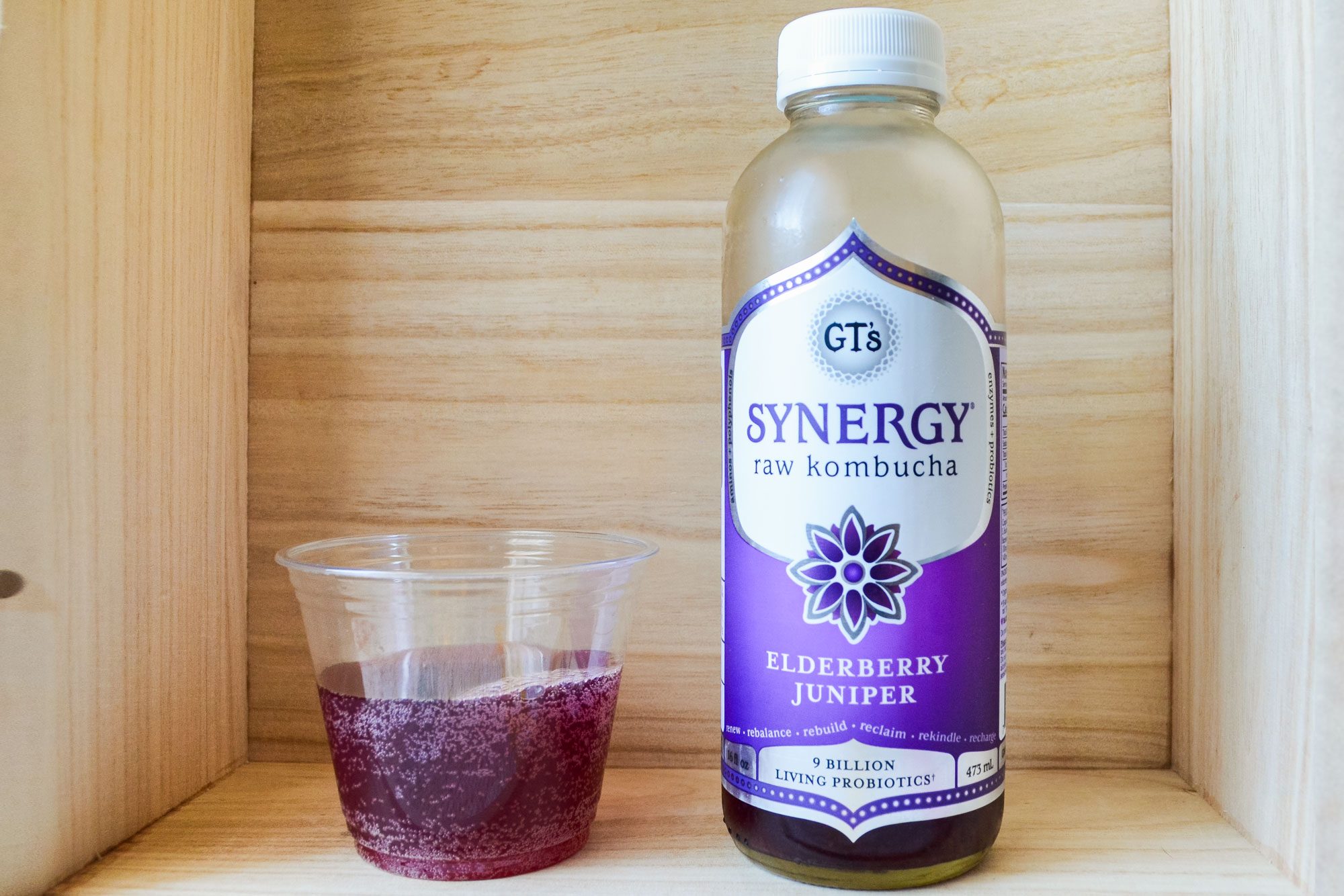 GT Synergy Kombucha