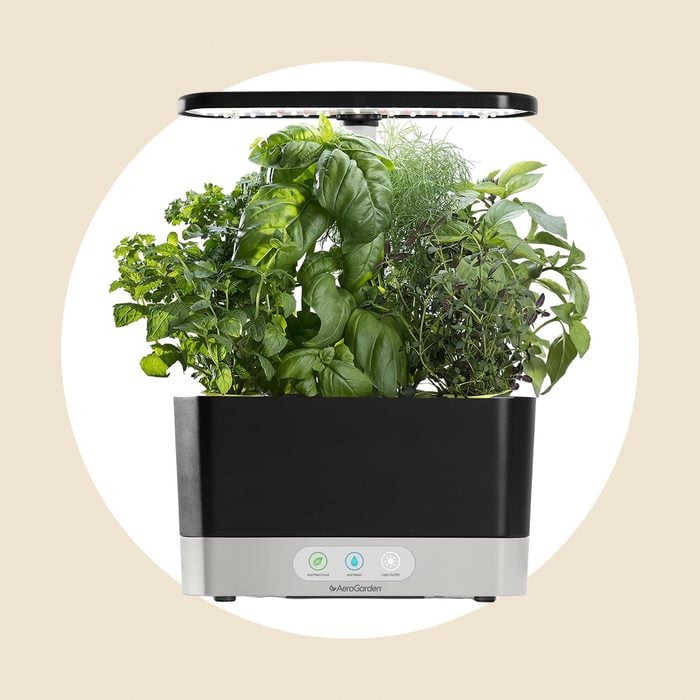 Aerogarden Indoor Herb Garden