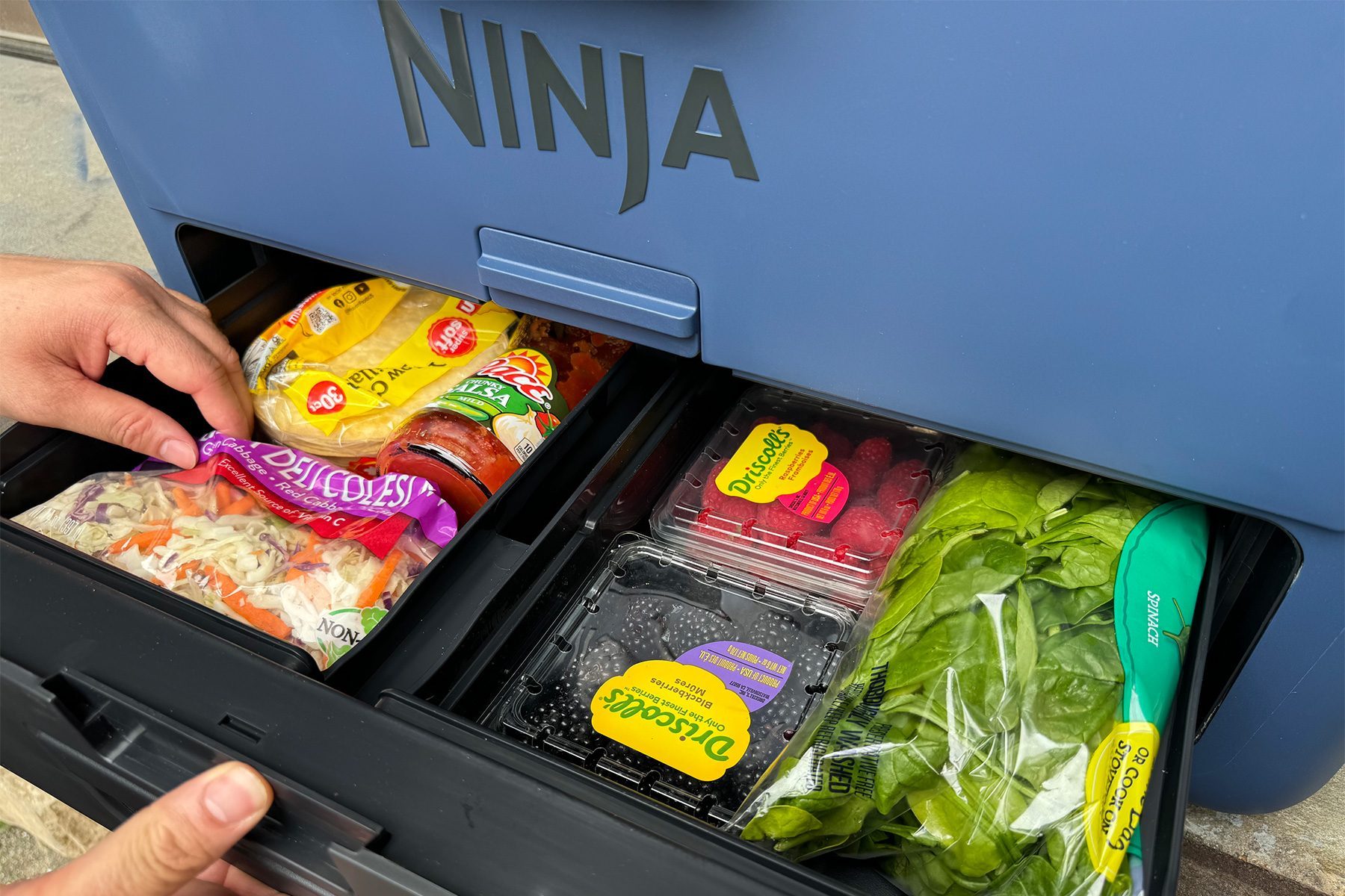 Ninja FrostVault 50qt Hard Cooler