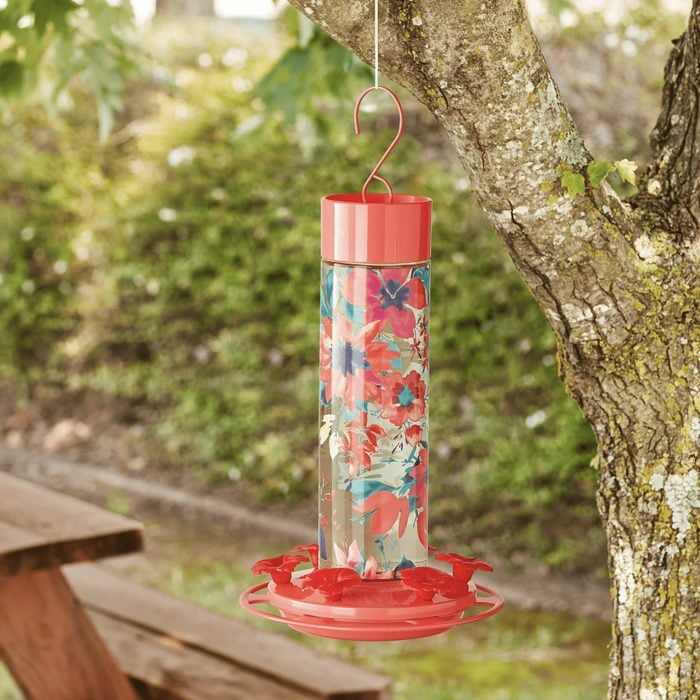 Pioneer Woman Glass Hummingbird Feeder