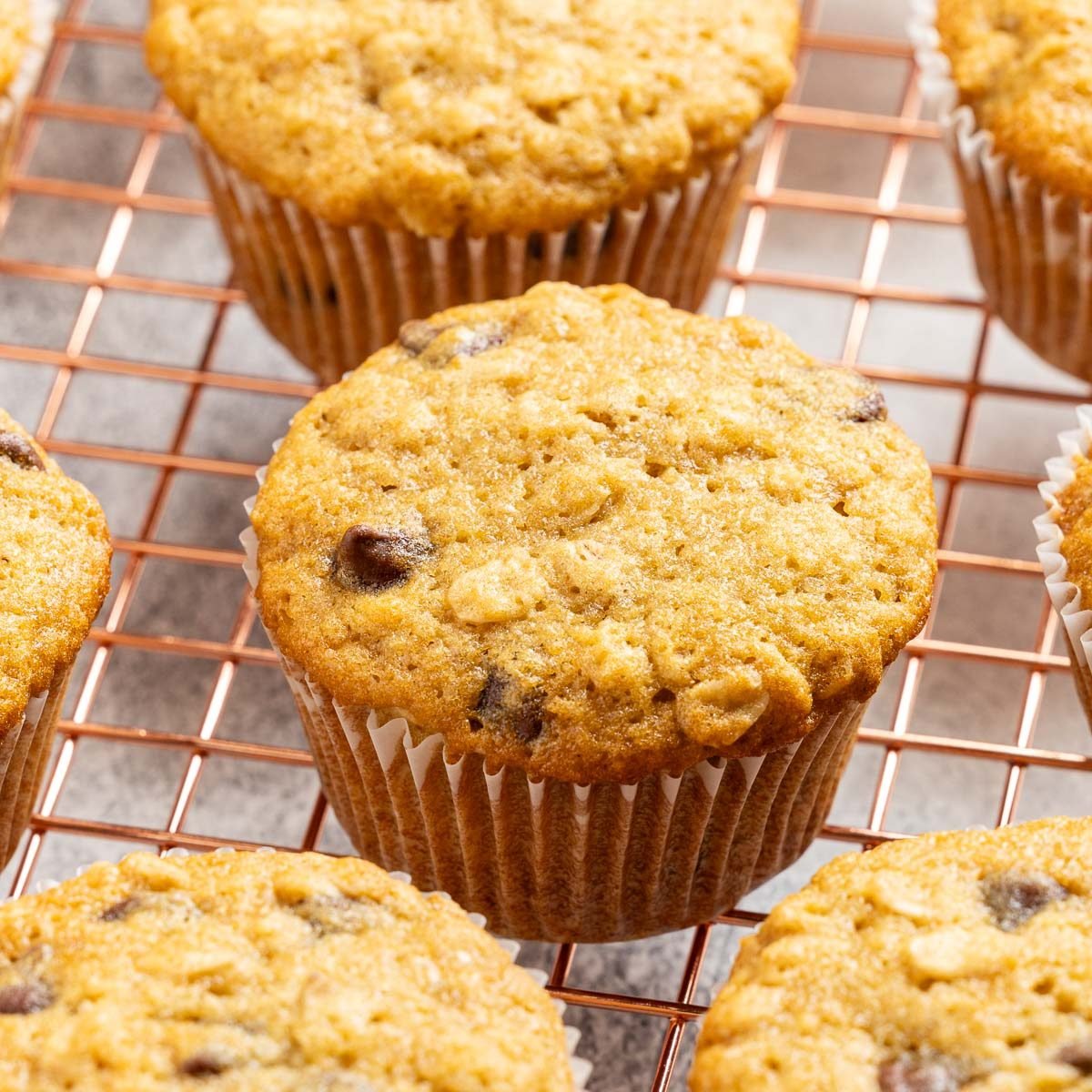 Taste of Home Oatmeal Chocolate Chip Muffins recipe photo of the finished recipe served on plates and a cooling rack.