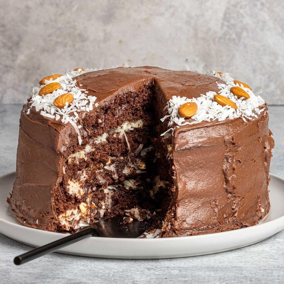 Taste Of Home Almond Joy Cake Recipe Photo Of The Finished Recipe.