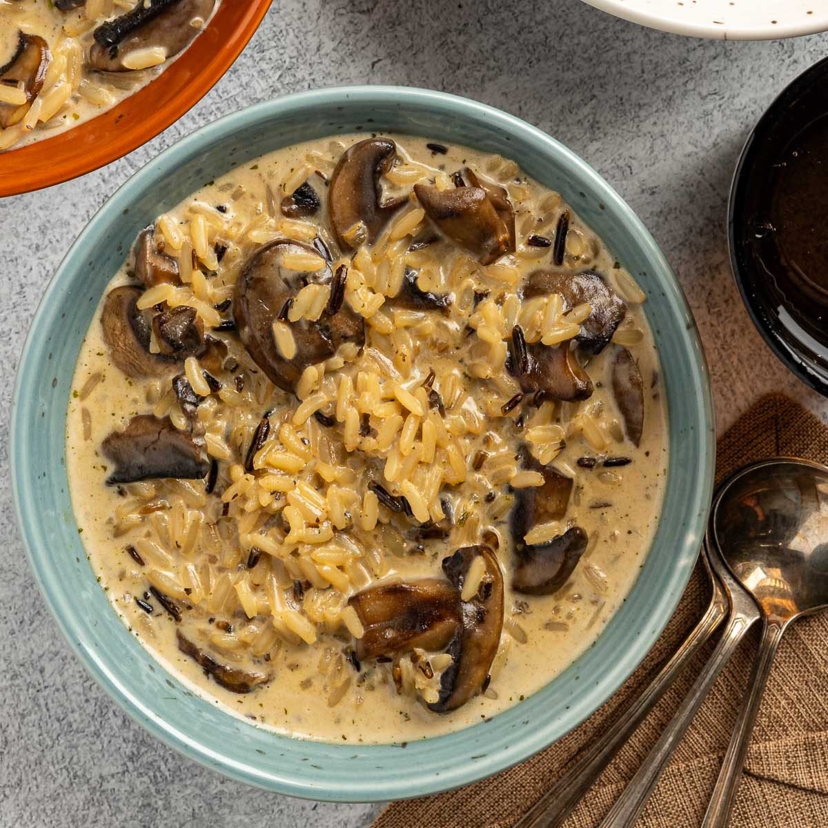 Taste of Home Wild Rice and Mushroom Soup recipe photo of the finished recipe.