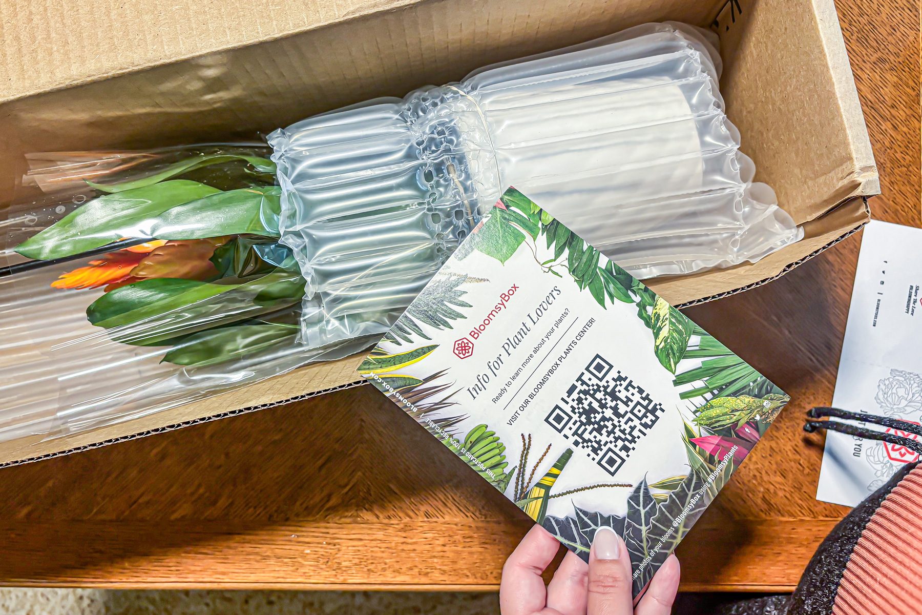 Bloomsybox Plant Subscription 